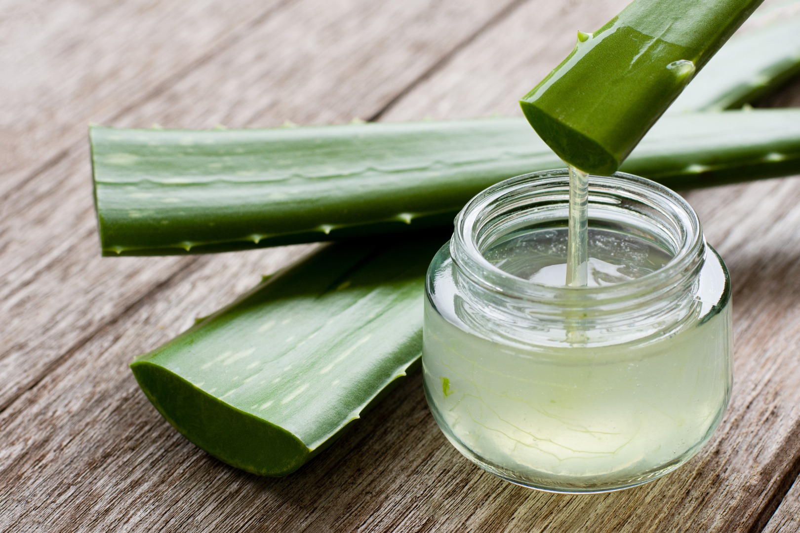 améliorer sa digestion naturellement votre naturopathe à Grenoble aloe vera