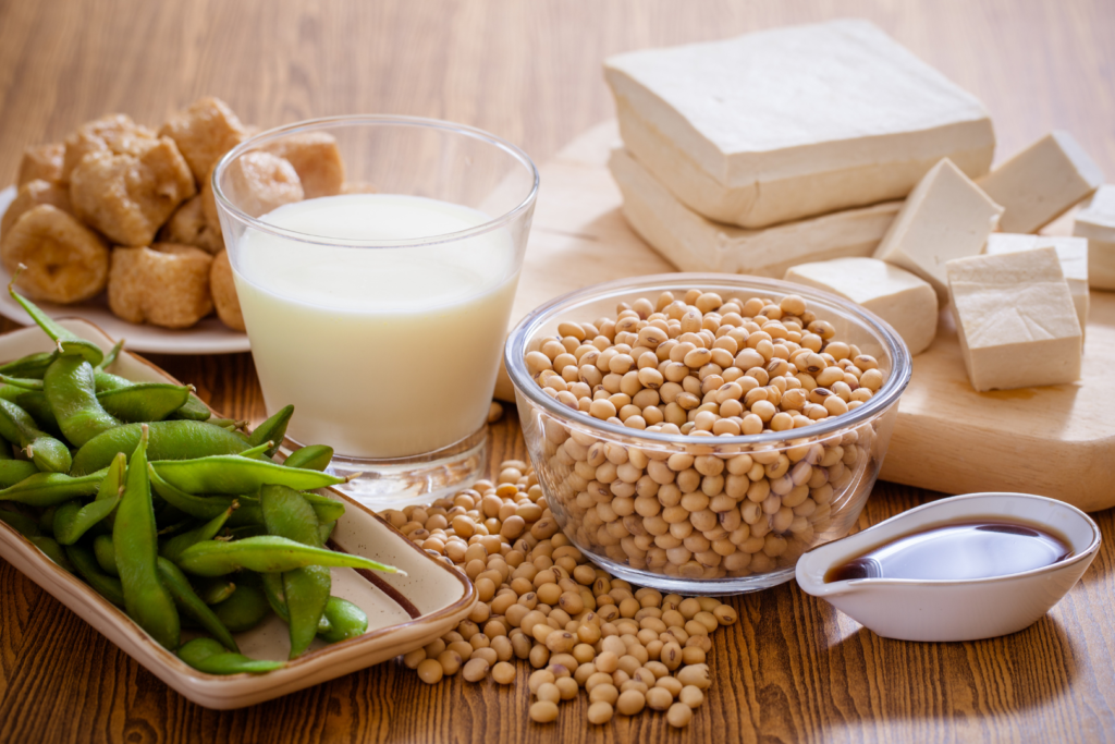 produits au soja carences en protéines
